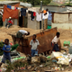 The Vimba app finds help for women reporting rape and domestic violence in Johannesburg’s notorious Diepsloot township
